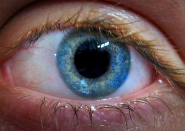 deteccion de esquizofrenia con examen ocular