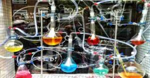 ¿Cuál es la composición química de los seres vivos? 2