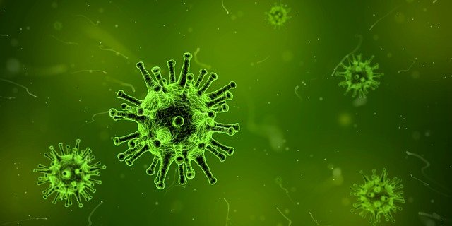 ¿Qué es un virus? Tipos y estructura