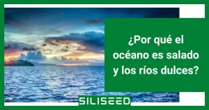 ¿Por qué el océano es salado y los ríos dulces? 3